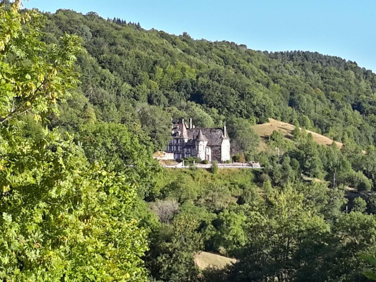 Chateau De Courbelimagne, Raulhac Ngoại thất bức ảnh